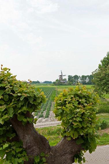 Bed And Breakfast Lauwersstate Paesens Extérieur photo